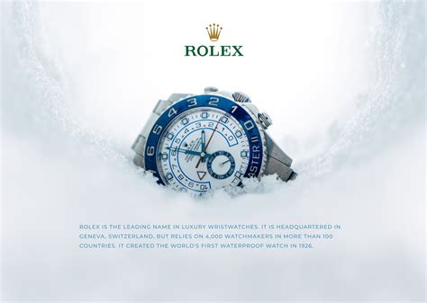rolex web